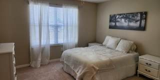Beautiful 3 Bedroom Townhouse with AMENITIES GALORE- 18 MINS FROM DOWNTOWN TAMPA Gallery 15