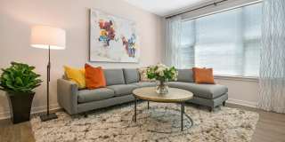 Woodmont Townsquare Gallery 11