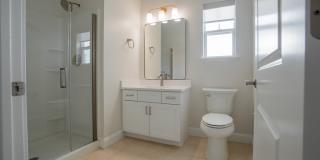 The Springs Gallery 5