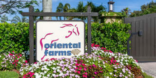2583 Appaloosa Trail Gallery 42