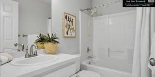 1439 Huckleberry Circle Gallery 17