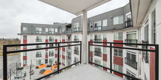 Sunset Terrace Gallery 12