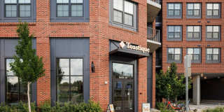Starling Gallery 64