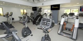 Fontainebleau Milton Gallery 17