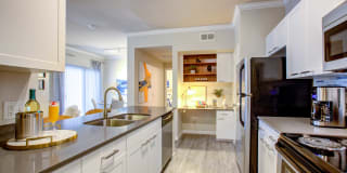 Ironhorse at Tramonto Gallery 23