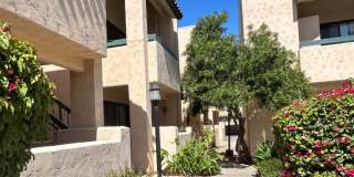 Laurel Lane Gallery 9