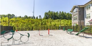 Grand Oaks at Crane Creek Gallery 9