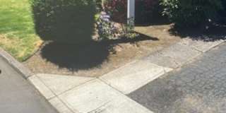 Ash Street Duplexes Gallery 1