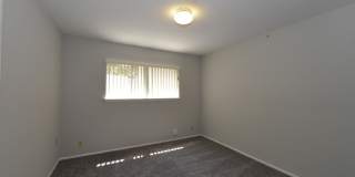 6010 WINDHAVEN DR Gallery 11