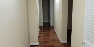 2226 CASTLE ROCK Square Gallery 15