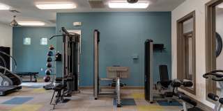 The Boulevard at Deer Park Gallery 46