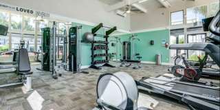 The Grove The Grove Gallery 19