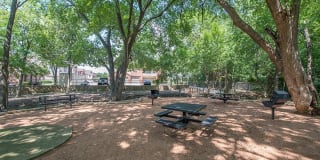 Reserve at Stonebridge Ranch Gallery 22