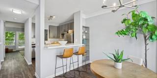 Townhouse Atlanta Gallery 18