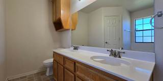 NEW IN MANAGEMENT - AVAILABLE NOW! Gallery 20