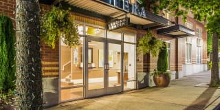 Tera Apartments Gallery 1