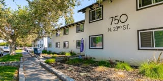 Palm Court Gallery 17