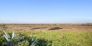 Available Now! Spacious 3BR, 2BA, 1,76sq.ft. 2 car garage. Gallery 1