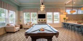 Century Dunes Gallery 12