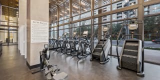 10X Las Olas Walk 10X Las Olas Walk Gallery 12