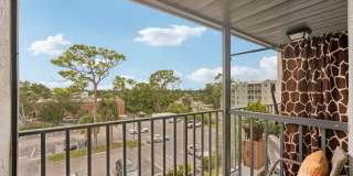 Sage Grove on Aaron Gallery 8