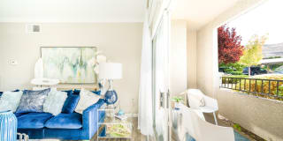 Canyon Vista Gallery 9
