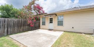 3926 Privet Place Gallery 29