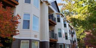 Belmar Commons Belmar Commons Gallery 1