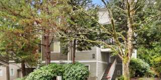 Beautiful 3 Bedroom 2 Bath Condo Newport Way Issaquah Gallery 1