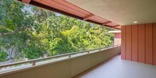 Bay Tree Gallery 49