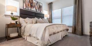 Collection at Gruene Gallery 11