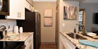 The Element Gallery 1