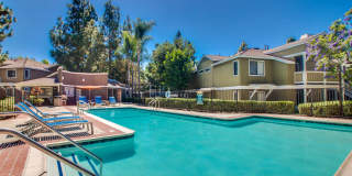 Island Club Apartments Island Club Apartments Gallery 5