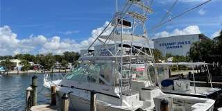 333 THE ESPLANADE N Gallery 41