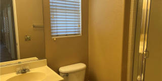 15177 Dandelion Gallery 13