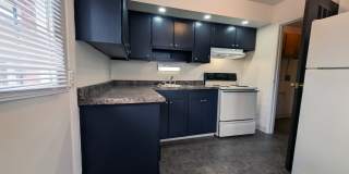 1181 D Kelburn Road Gallery 4