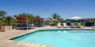 Vive on the Park Gallery 38