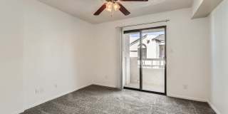 Rise on Cactus Gallery 86