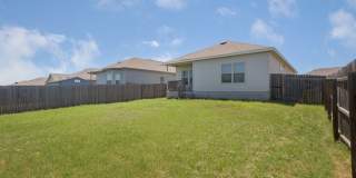 5418 Cicada Gallery 19