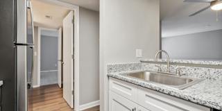 Buena Vista Gallery 57