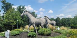 414 GRANVILLE Court Gallery 50