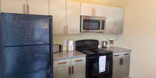 Settlement Place Gallery 229