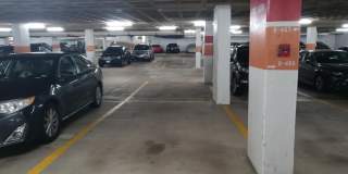 3701 S GEORGE MASON Drive unit: 2311N Gallery 14