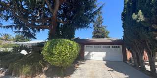 Blossom Valley- well maintained single-family home,3 beds, extra den and 2 baths Gallery 1