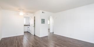 Juniper at Westlake Gallery 5