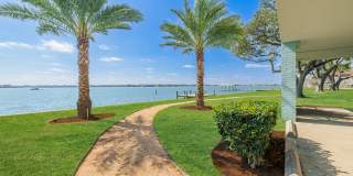 Pirates Landing Gallery 39