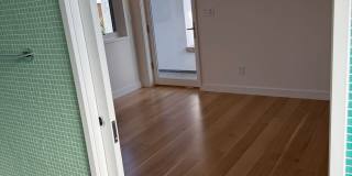 Silver Maple Stunning Gallery 25