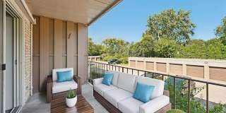 Cherry Court Gallery 5