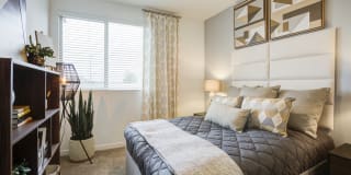 Lucent Scottsdale Gallery 17