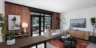 Star Harbor Gallery 7